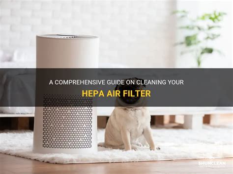 Air Purifiers With HEPA Filters: A Comprehensive Buying Guide