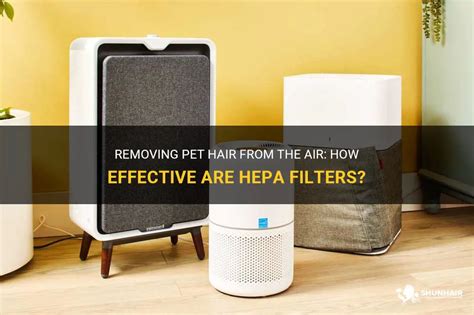 Can HEPA Filters Remove Chemical Pollutants From The Air?