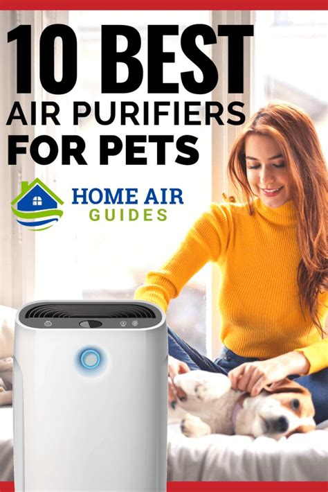 Do HEPA Filters Help With Pet Dander And Odors?