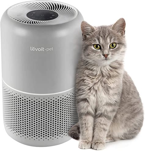 Hepa Filter Air Purifiers And Pets: A Guide For Pet Owners