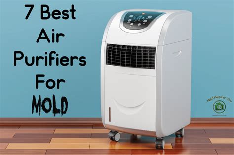 How Hepa Filter Air Purifiers Can Help With Mold And Mildew