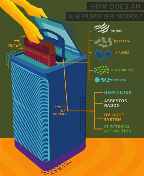 How To Maintain Your Hepa Filter Air Purifier For Long Lasting Performance