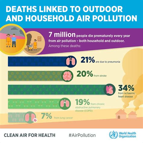 The Connection Between Air Quality And Overall Health